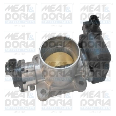 Throttle Body